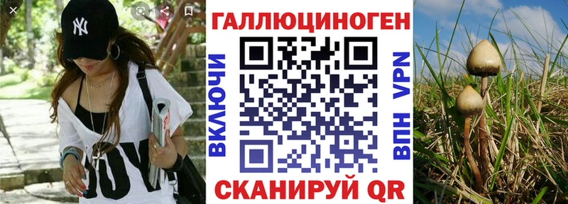 что такое   Таруса  Галлюциногенные грибы GOLDEN TEACHER 