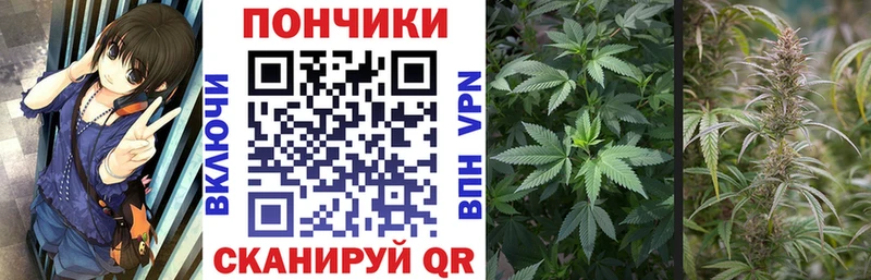 Шишки марихуана AK-47  Таруса 